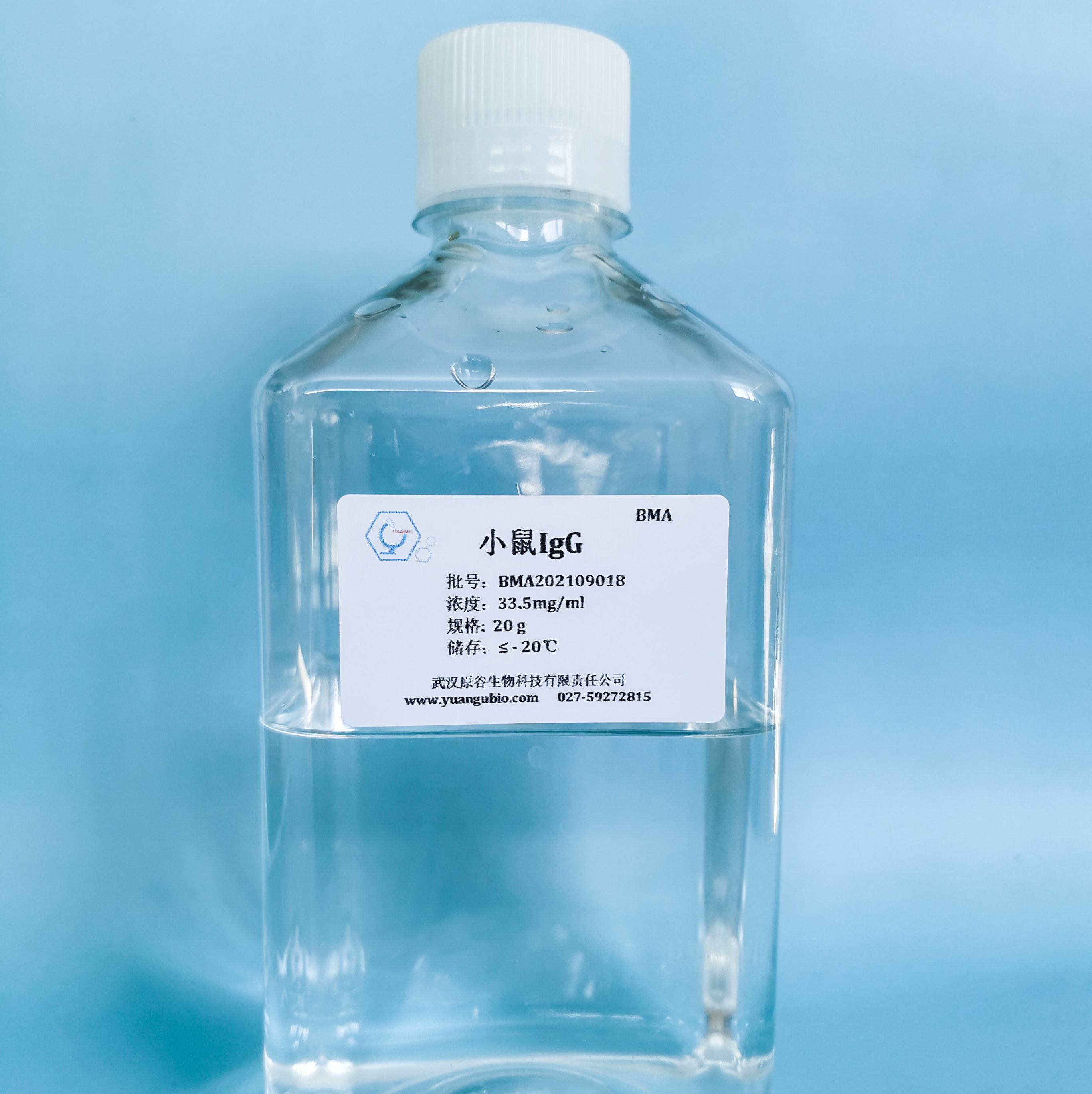 小鼠IgG