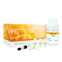 StarLighter dsDNA 高灵敏检测试剂盒（酶标仪版）