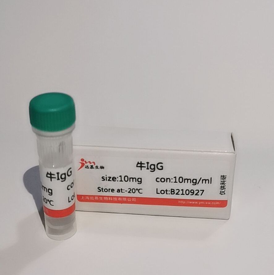 牛IgG