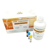 StarLighter ssDNA检测试剂盒