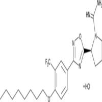 SLM6031434 (hydrochloride)