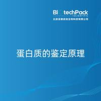 蛋白质的鉴定原理