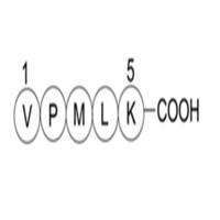 Bax inhibitor peptide V5