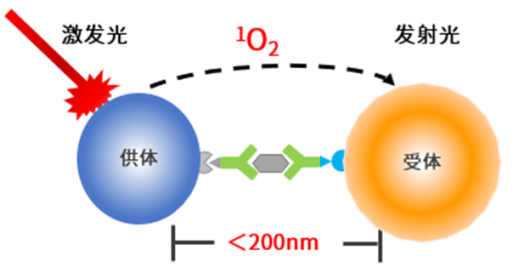 人白介素-5(hIL-5)检测试剂盒(均相发光法)