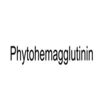 Phytohemagglutinin