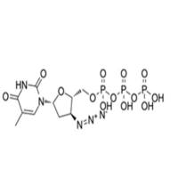 AZT triphosphate