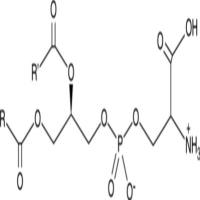 Phosphatidylserines (bovine)