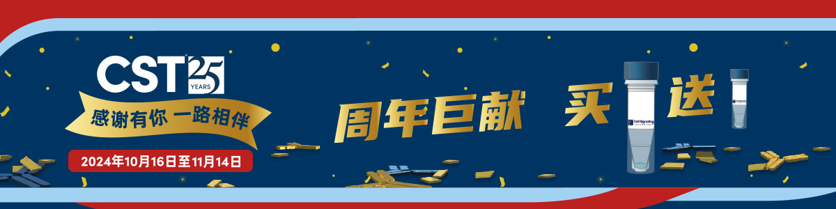 CST二十五周年巨献，买大送小！