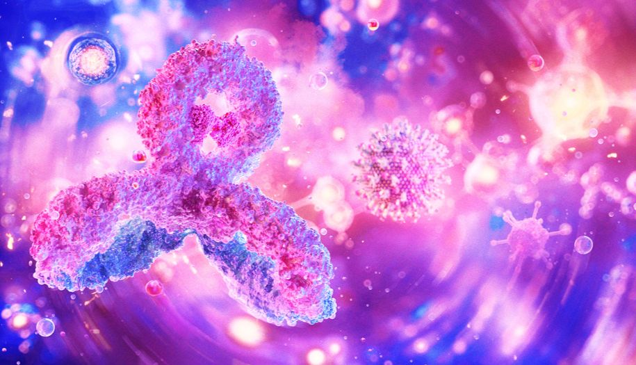 用于免疫学研究的新型重组抗体