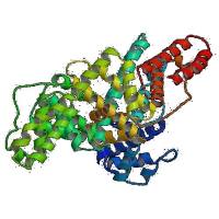 Proliant 无脂肪酸牛血清白蛋白BSA,试剂级