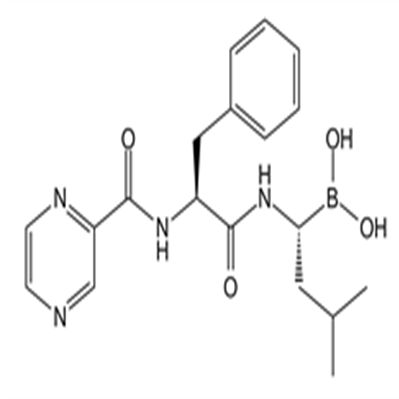 Bortezomib (PS-341)