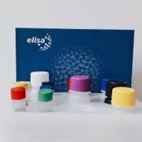 豚鼠4-羟基壬烯酸(HNE)ELISA试剂盒