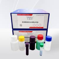 痰液基因组DNA提取试剂盒