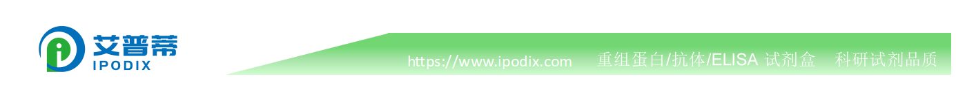 iagB蛋白,iagB重组蛋白;Human iagB pro