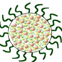 负载奥沙利铂(OXA)的聚合物胶束