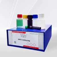  游离DNA提取试剂盒 