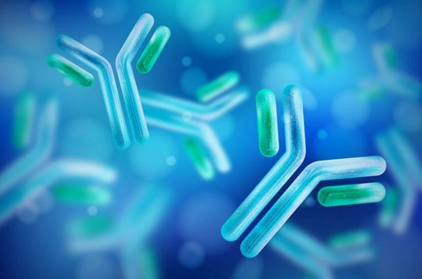 如何解决抗原抗体反复冻融不稳定的问题？