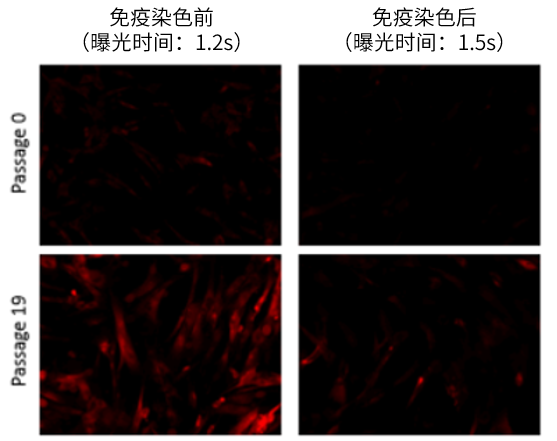 1622687833760531.png 1622687833760531.png