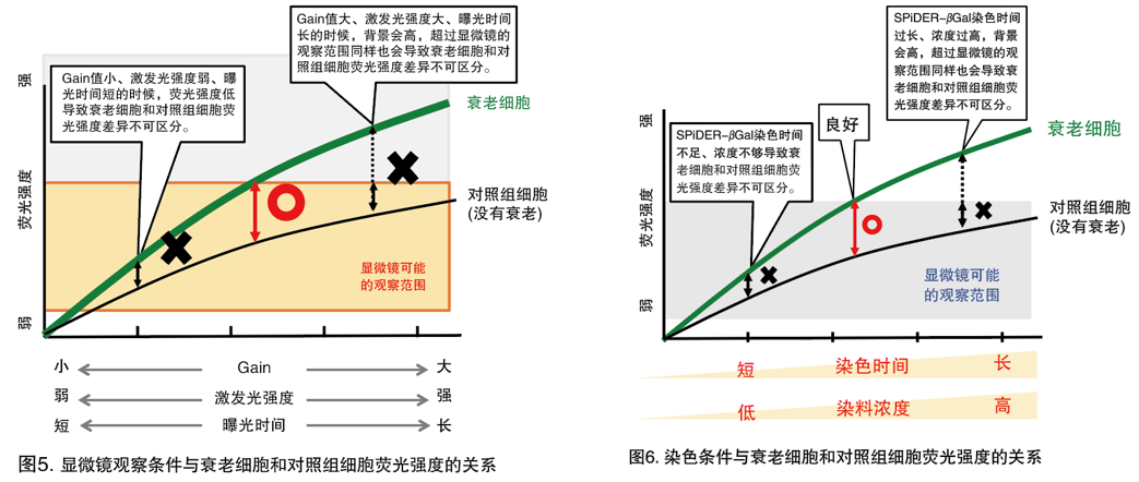 1622699364647596.png 1622699364647596.png