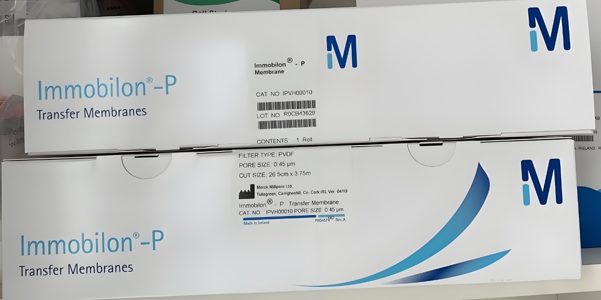 pvdf膜激活原理及流程