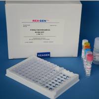 豚鼠5羟二十碳四烯酸(5-HETE)ELISA试剂盒