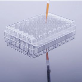 pLVX-CMV-NFE2L1-PGK-Puro