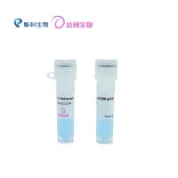 通用型染料法 qPCR 预混液（蓝色）