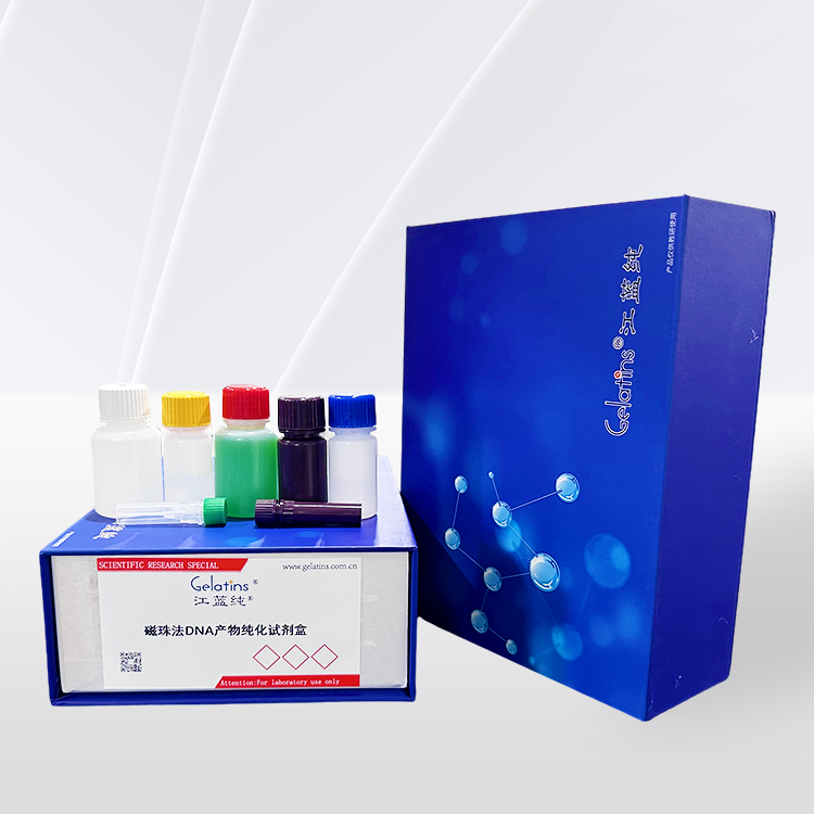  磁珠法DNA产物纯化试剂盒 