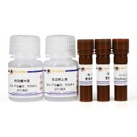 胎盘碱性磷酸酶检测试剂盒