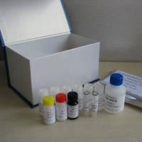 豚鼠抗利尿激素/血管加压素/精氨酸加压素(ADH/VP/AVP)ELISA试剂盒