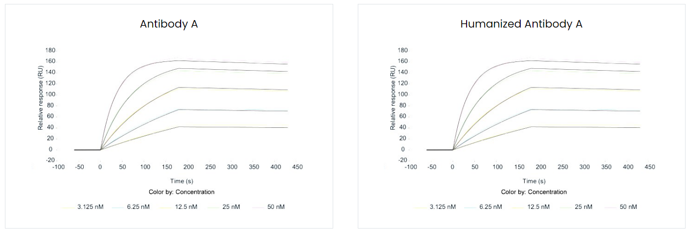 抗体人源化技术服务