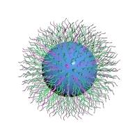 负载SN-38的PEG12000-聚谷氨酸（P(Glu)）聚合物胶束