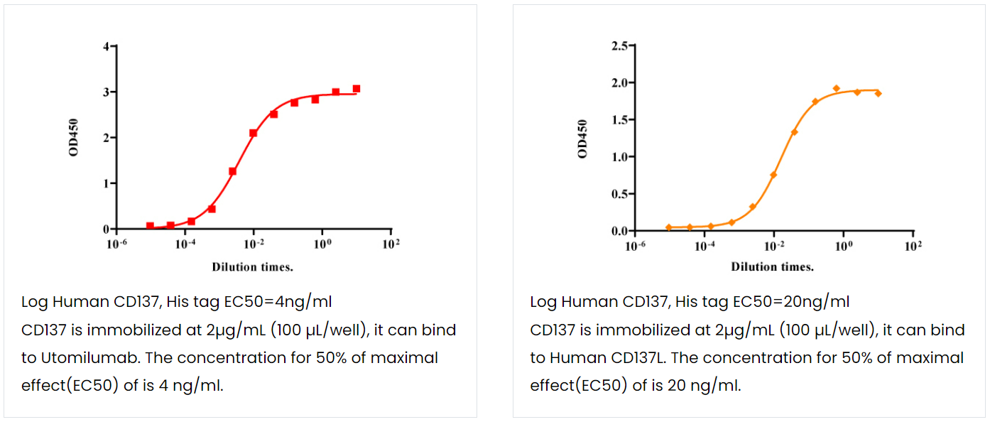 哺乳动物细胞蛋白表达