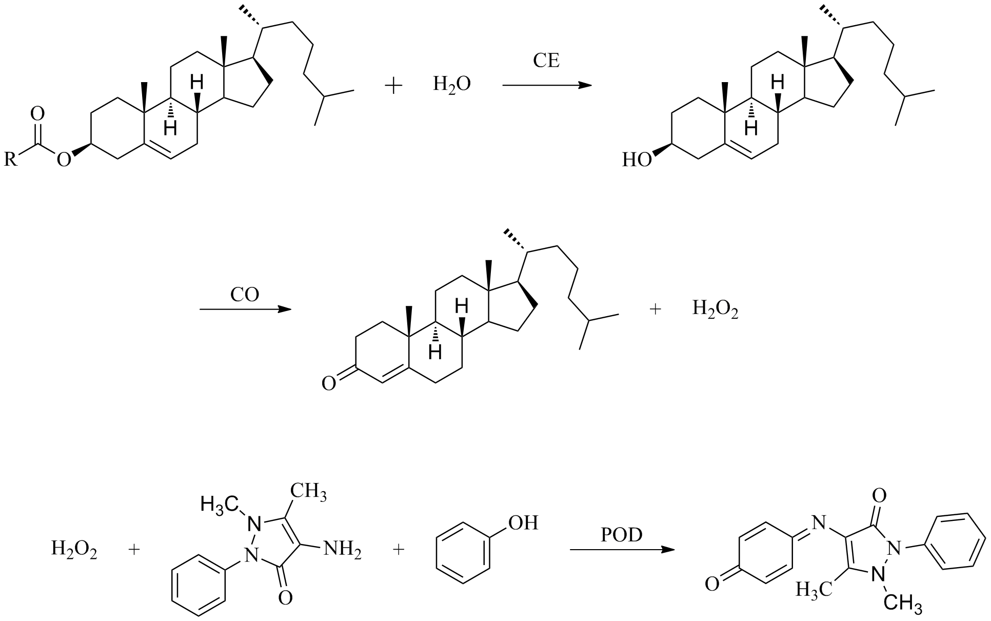 总胆固醇(TC)测试盒-比色法(单试剂COD-PAP法) |