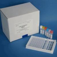 豚鼠基质金属蛋白酶9(MMP-9)ELISA试剂盒