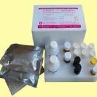 豚鼠3氧代5α类固醇4脱氢酶2(SRD5A2)ELISA试剂盒