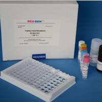 豚鼠3氧代5α类固醇4脱氢酶2(SRD5A2)ELISA试剂盒