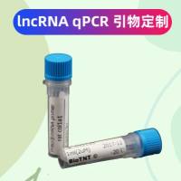 lncRNA qPCR 引物定制