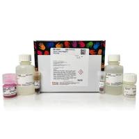 88804赛默飞Pierce系列经典磁珠法IP/Co-IP亲和纯化试剂盒Thermo