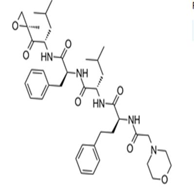 Carfilzomib (PR-171)