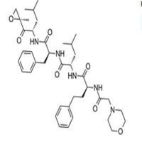 Carfilzomib (PR-171)