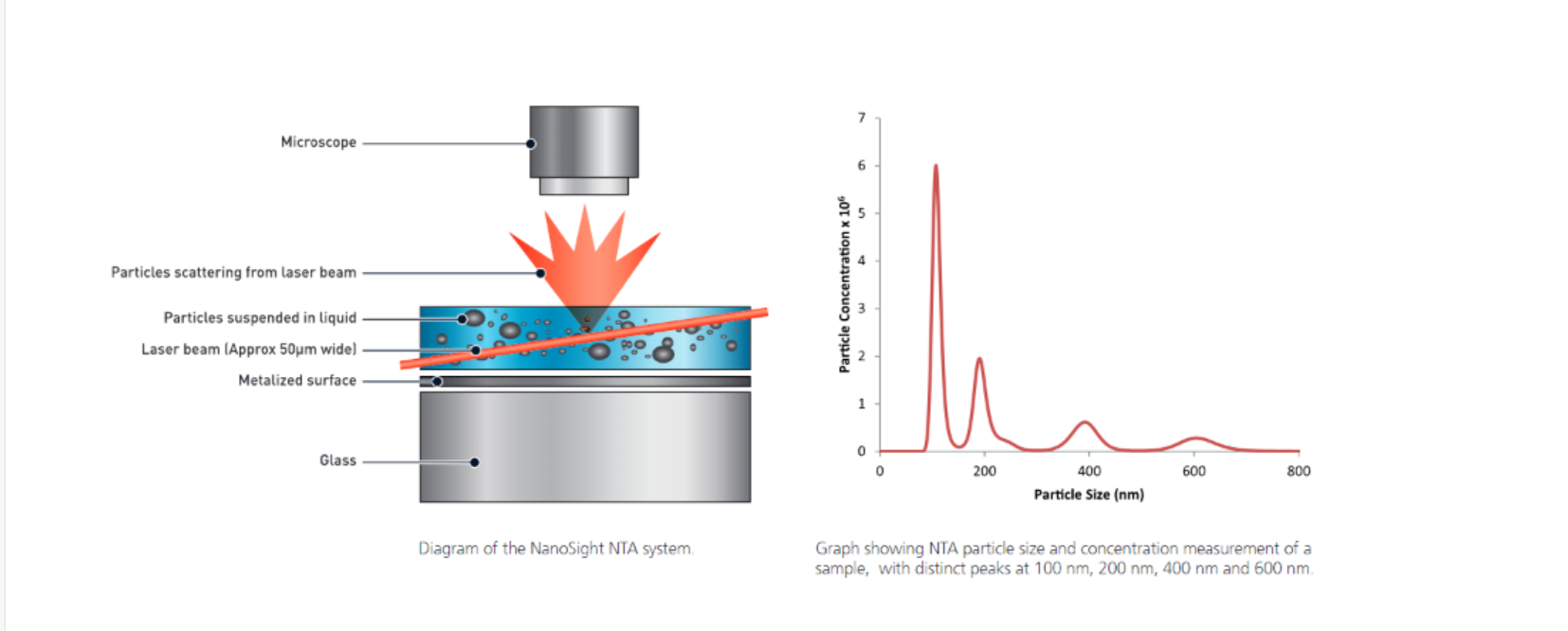 外泌体粒径检测-NTA