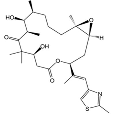 Epothilone B (EPO906, Patupilo