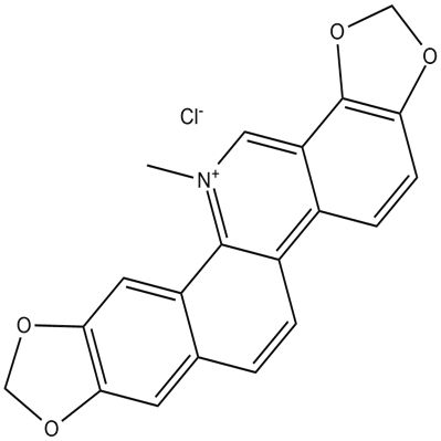 Sanguinarine chloride