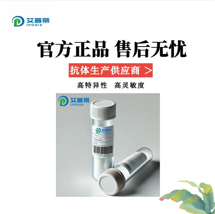 MAP3K12抗体;MAP3K12 Polyclonal Antibody