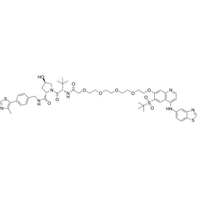 PROTAC RIPK degrader-2