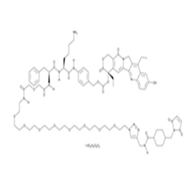 CL2-SN-38 (dichloroacetic acid salt)