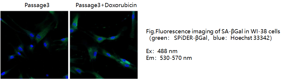 1608729010537104.png 1608729010537104.png