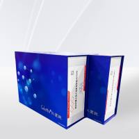  HiPURE高纯度质粒小提中量试剂盒 