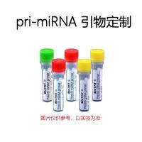 pri-miRNA 引物定制